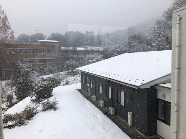 雪です。